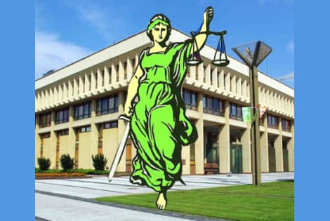 Lapkričio 6 dieną Seimas svarstys, ar kreiptis į Konstitucinį teismą dėl Seimo rinkimų teisėtumo