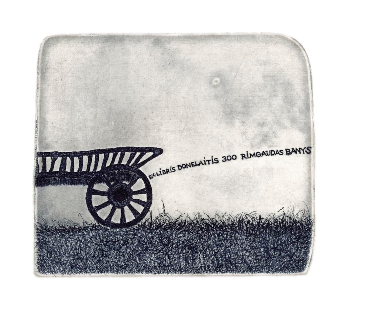 Tatjana Diščenko. „Rimgaudas Banys“, 2012