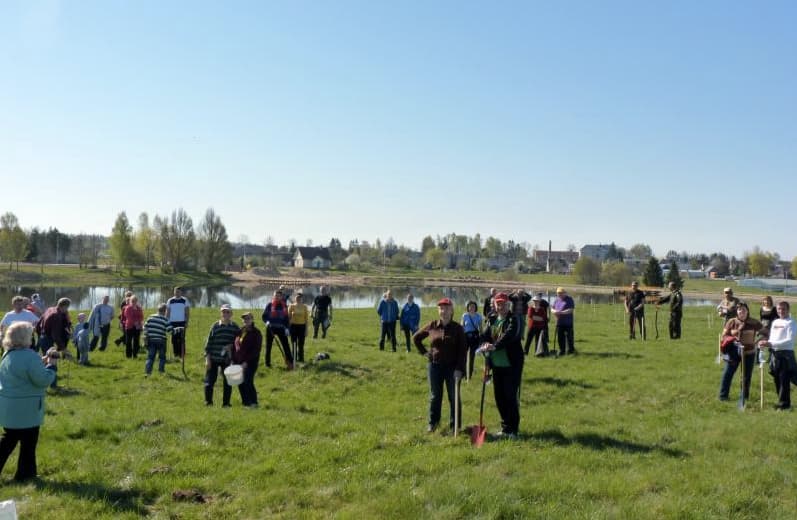 Miestai ir miesteliai sužaliavo – pasodinta apie 13 tūkst. sodinukų