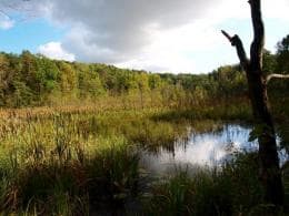 Švenčiame tarptautinę biologinės įvairovės dieną