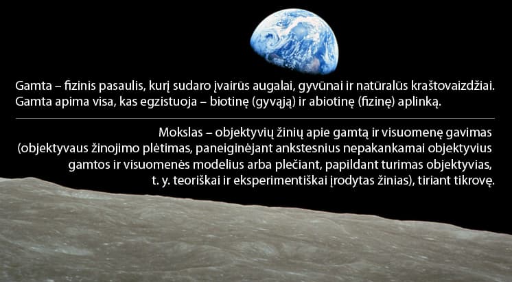 Novatoriški studentų verslai: robotika, DNR tyrimai, valymas augalais