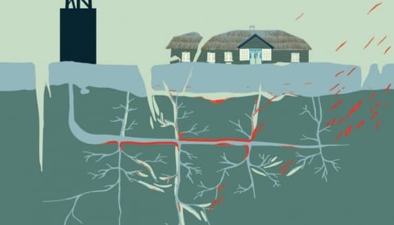 Rimantas Braziulis: Žemaičių dar niekas niekada nenugalėjo