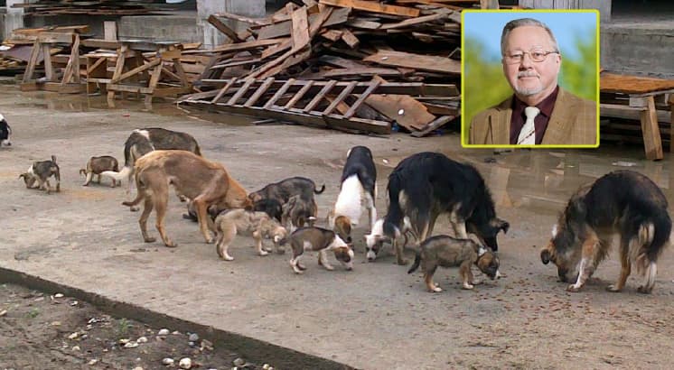 Lietuvos rašytojų sąjungos naujasis narys Vytautas Landsbergis – grakščios metaforos „šunauja“ autorius.