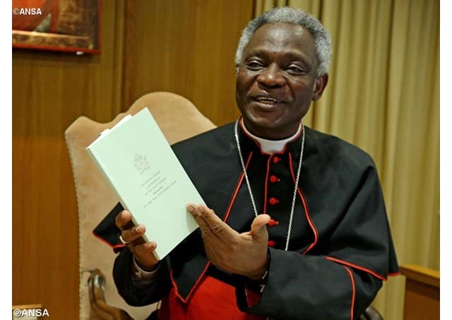 Kardinolas Peteras Turksonas: turime vėl atsiminti klausimą „kodėl“, kuris toks būdingas vaikams
