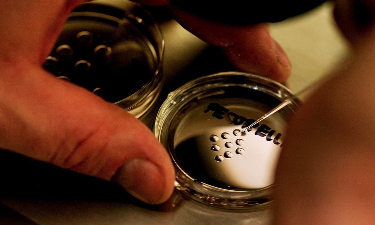 Laboratorijose mokslininkai nuo 2003 m. koreguoja genomą, o nuo 2013 m. šis procesas vadinamas „CRISPR/Cas9“.