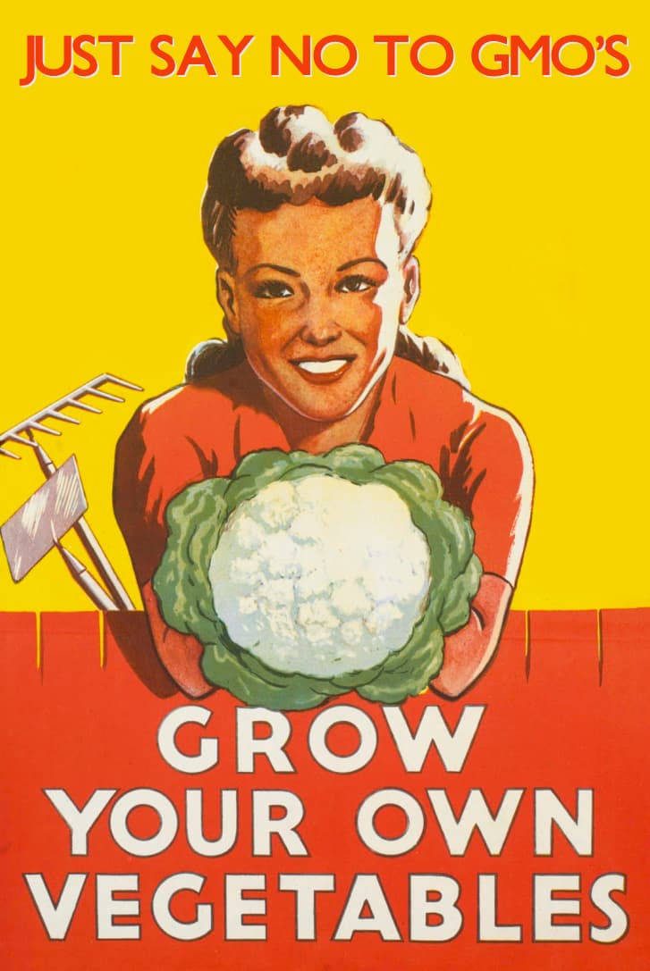 Kaimo reikalų komitetas pritaria GMO naudojimo griežtinimui