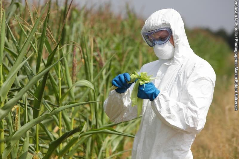 EP nepritarė siūlymui leisti ES valstybėms riboti GMO