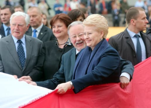 Lietuvą reikia ginti ir tinkluose