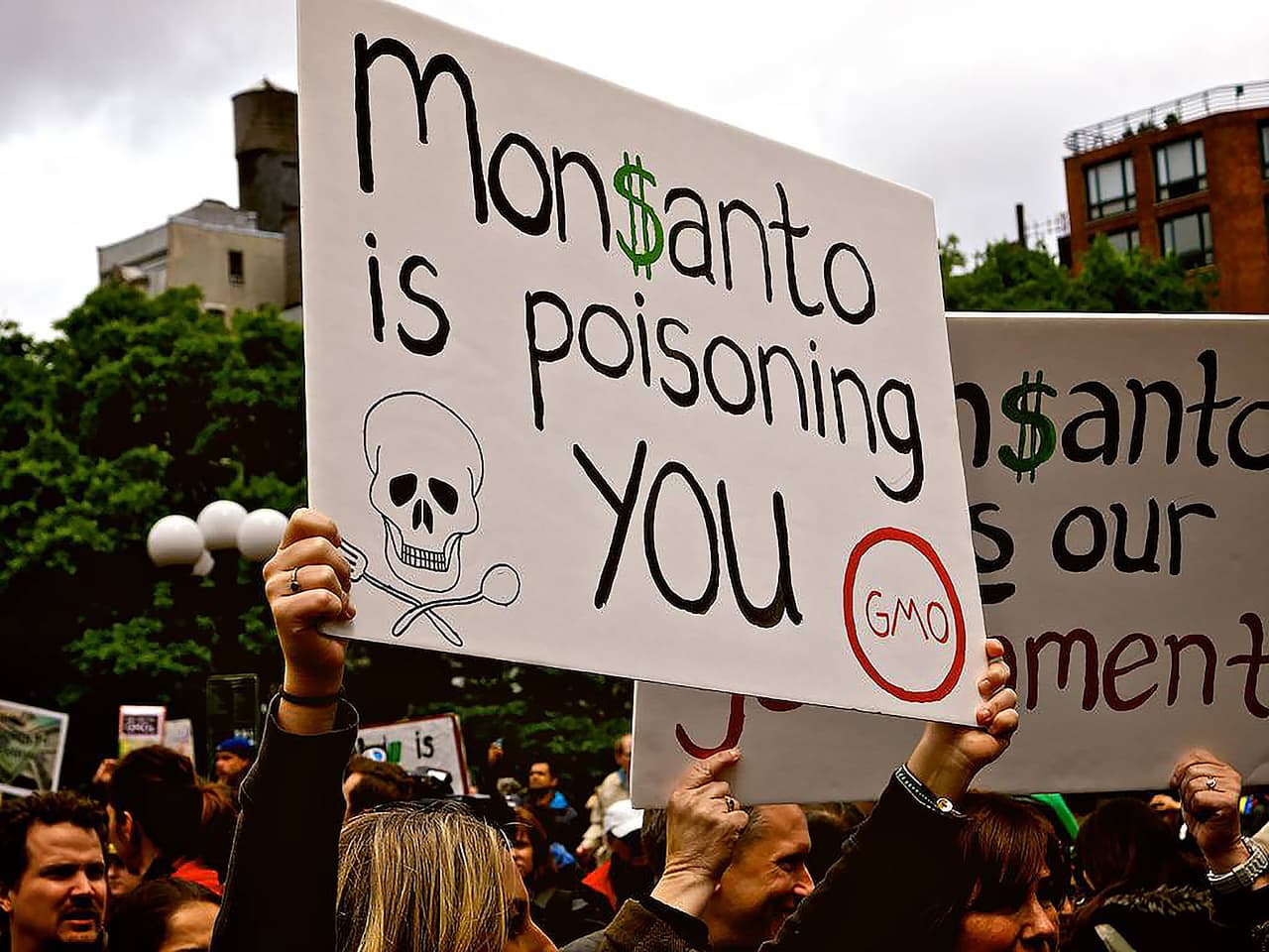 Nyderlanduose vyks „Monsanto“ tribunolas