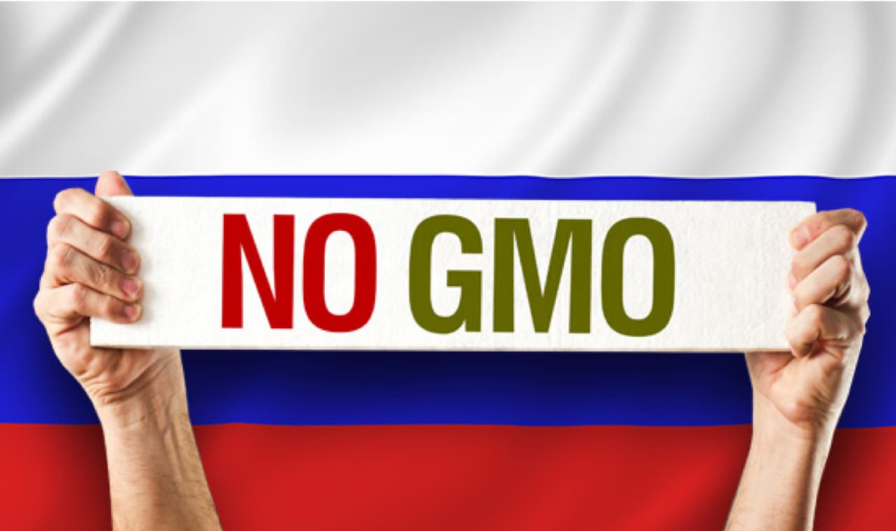 Rusija ketina tapti didžiausia pasaulyje maisto be GMO eksportuotoja