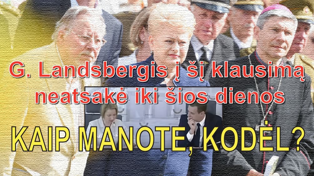 Sausio 13-osios byla: D. Raulušaitis – melagis, V. Landsbergis – veidmainis, G. Landsbergis – žodžio netesėtojas, D. Grybauskaitė – kolaborantų globėja