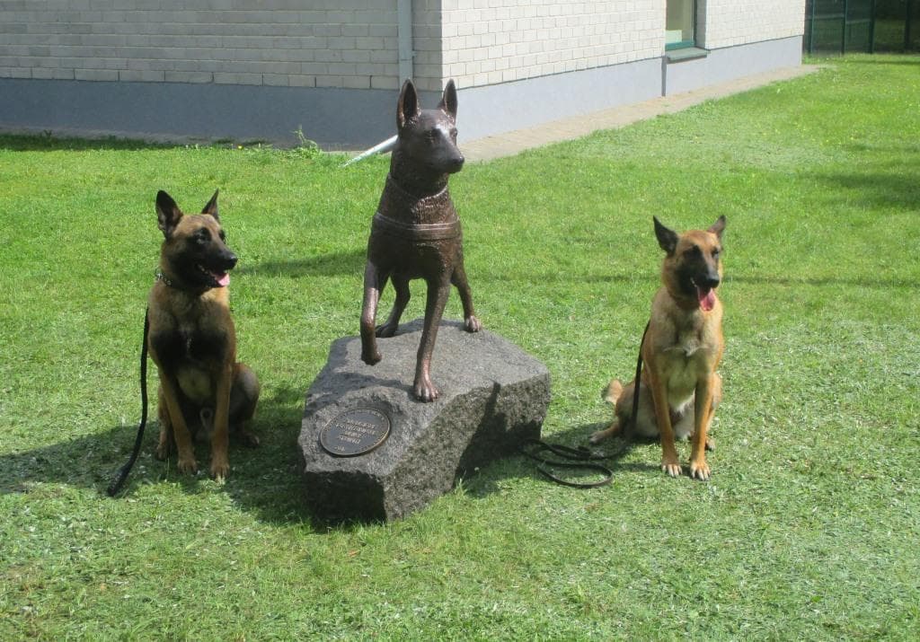 Paminklas Ramziui. Nuotr. aut. eil. Mantautas Patašius.