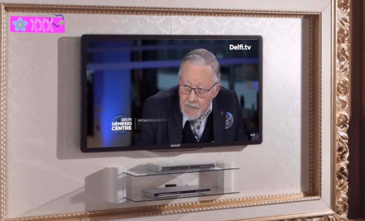V. Landsbergis nusivylęs žmonių kokybe Lietuvoje – tai didžiausia grėsmė valstybei