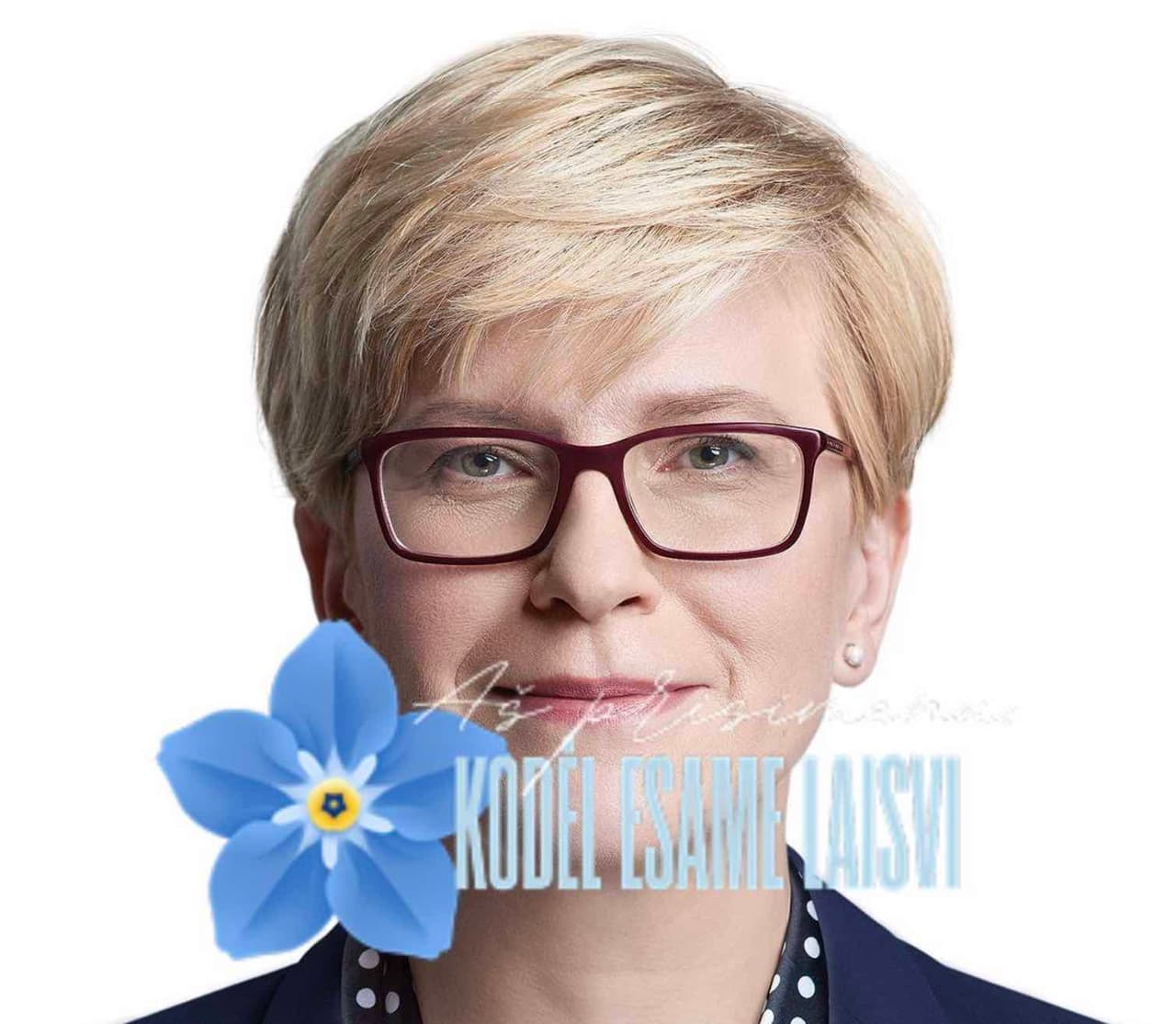 Landsbergių partijos gelbėtoja I. Šimonytė atskleidė savo politinės veiklos tikslą