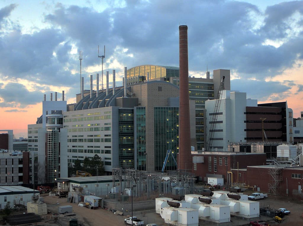 Paviešinus slaptus JAV Ligų kontrolės ir profilaktikos centrų (Centers for Disease Control and Prevention, CDC) dokumentus, paaiškėjo, kad Amerika pernelyg atsipalaidavo pastaruoju metu vykusių riaušių metu: pastarosiomis dienomis nuo koronaviruso kasdien miršta maždaug po tūkstantį amerikiečių, o suserga dvidešimt kartų daugiau.