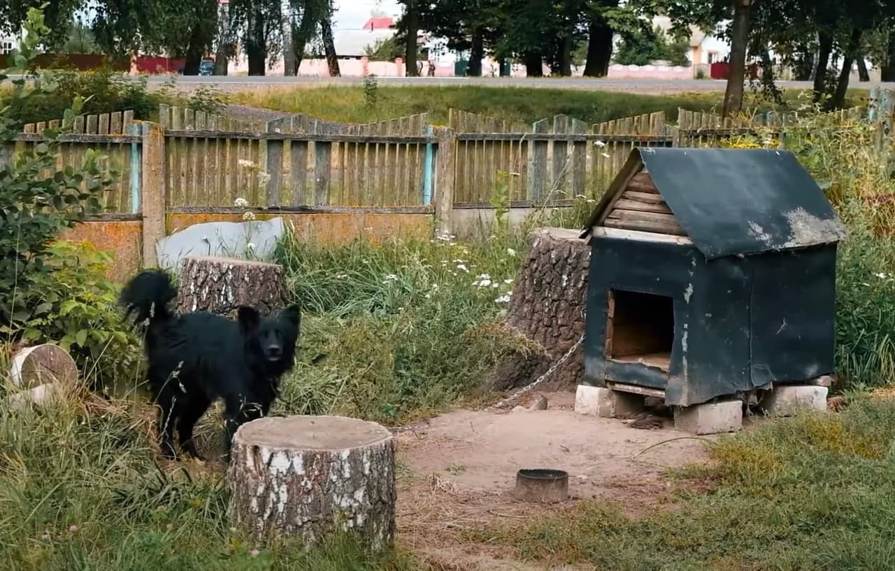 Ką galvoja Baltarusijos kaimas apie Lukašenką ir protestus
