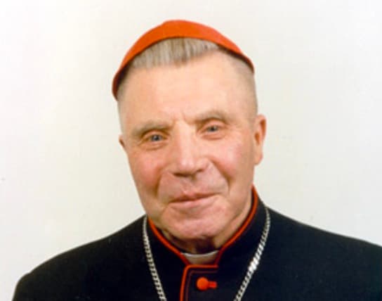 Vincentas Sladkevičius. Nuotr. lvk.lcn.lt
