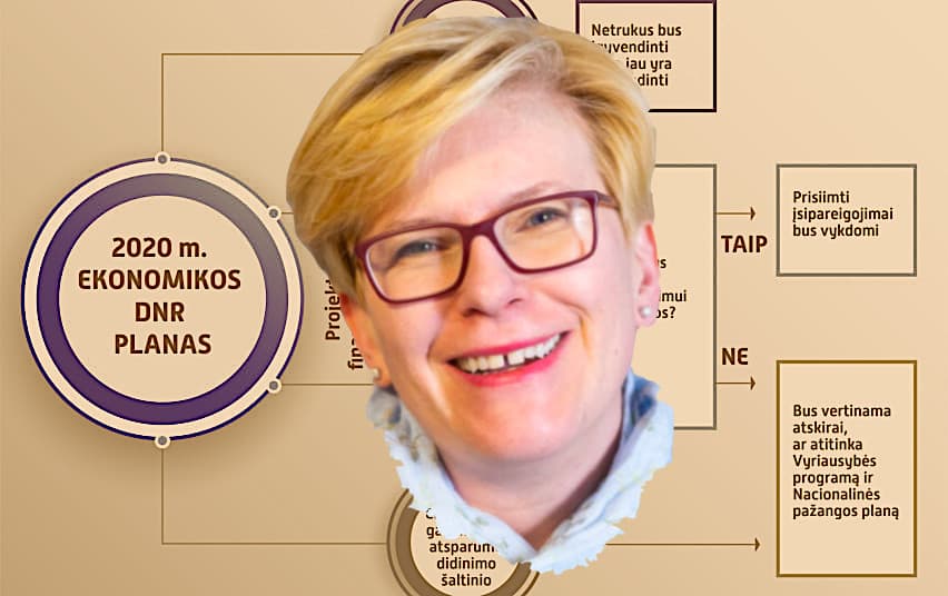 SKANDALAS: Landsbergių bendruomenė sunaikino žaliųjų valstiečių Ateities ekonomikos DNR planą