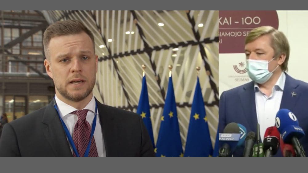 Lietuvos diplomatijos vadovas G. Landsbergis įgėlė Karabasui