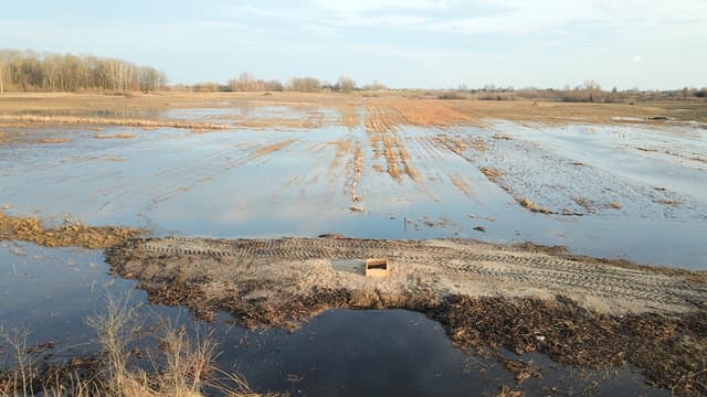 Klimato kaitos švelninimas: 16 mln. eurų nusausintoms pelkėms atkurti