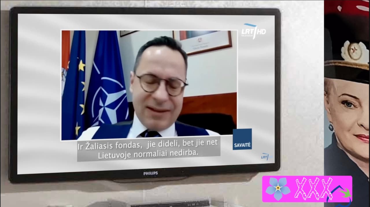 Ž. Pavilionis sustabdė Kremliaus ataką ir išgelbėjo kolegas užsienyje