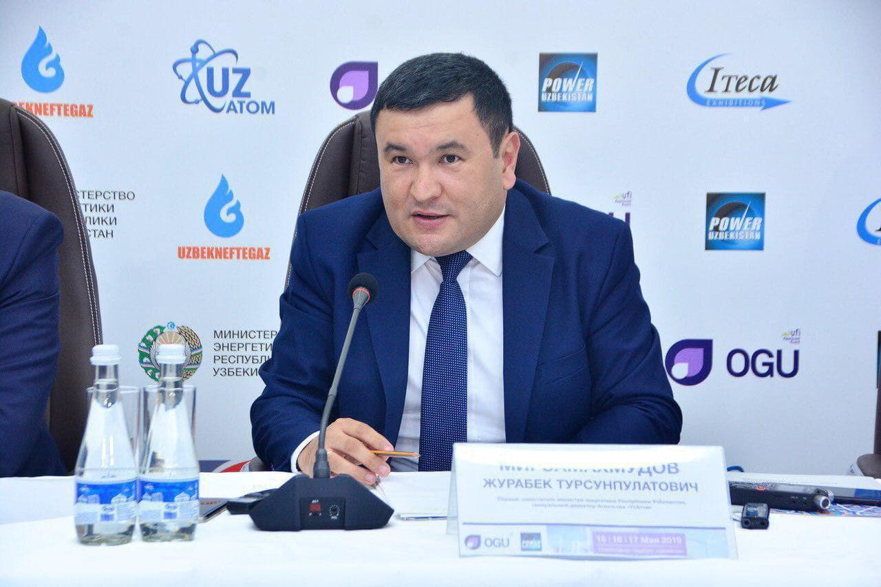 TATENA ekspertai įvertino atominės elektrinės statybos Uzbekistane planus