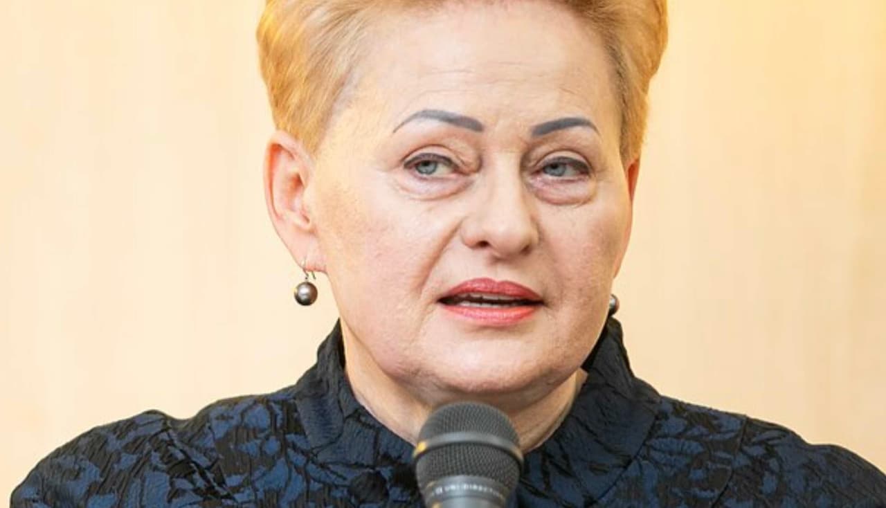 Landsbergių lyderė nesnaudžia – toliau ragina Lietuvą greičiau tiesiogiai įsitraukti į karą su Rusija