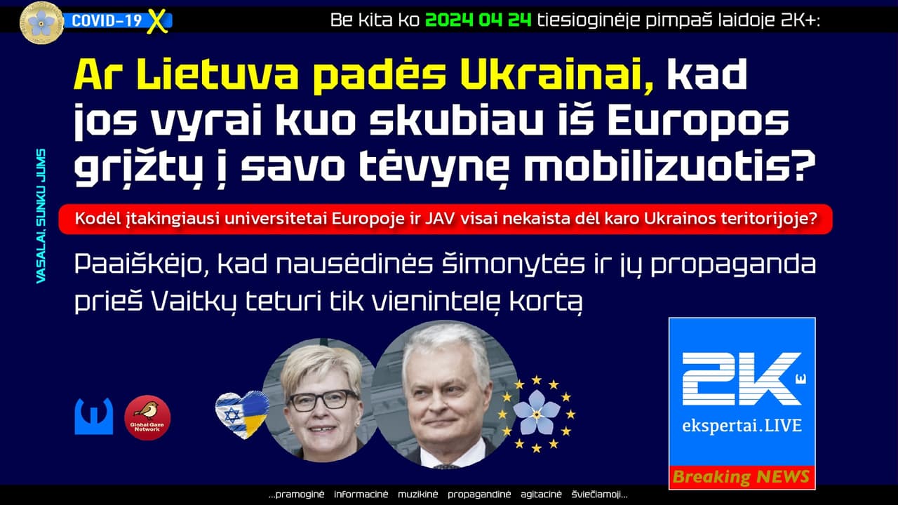 Skystai: nausėdinės šimonytės ir jų propaganda prieš Vaitkų teturi tik vienintelę kortą