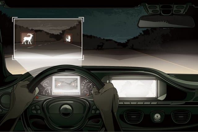 „Mercedes“ automobiliai neleis partrenkti į kelią išbėgusių gyvūnų