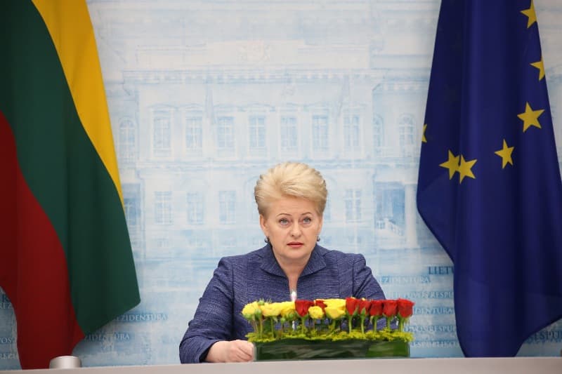 Prezidentė D. Grybauskaitė. Džojos Barysaitės (ELTA) nuotr.