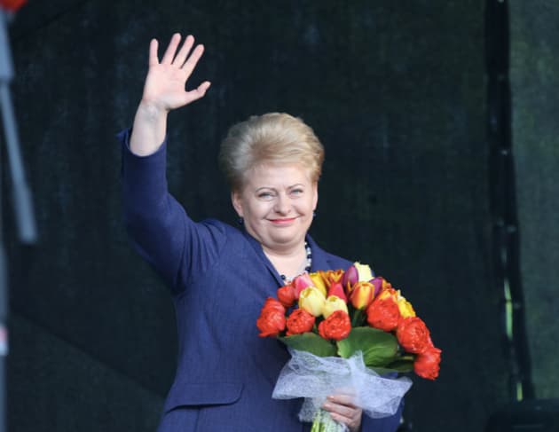 Prezidentė: kiekvieno žmogaus teisę į privatumą, asmeninį, šeimos ir namų gyvenimą saugo LR Konstitucija